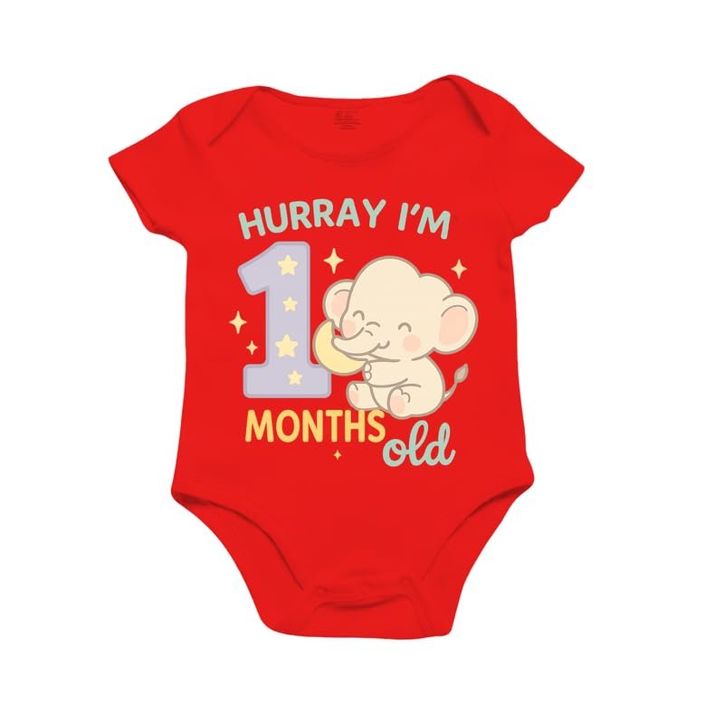 Monthly Birthday Romper for Newborn Baby | Unisex Half Sleeve Bodysuit with Envelope Neck | Soft Cotton Outfit with 1 to 12 Month Print | Comfortable Infant Wear for Boys & Girls