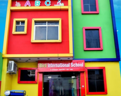 iBird-International-School