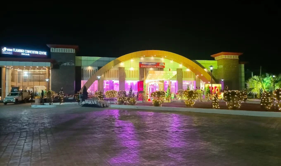 Flamingo, Hisar