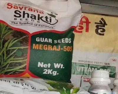Savrana-Hybrid-Seeds-Hisar