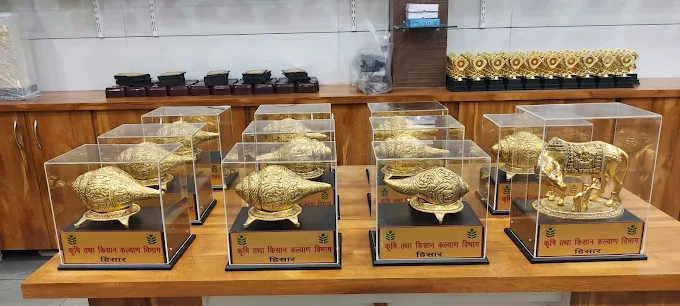Thakral Awards Place Hisar