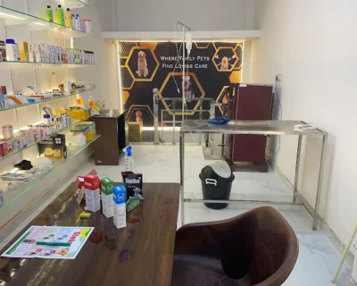 Pet-town-dog-and-cat-clinic