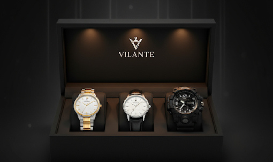 Vilante Lifestyles Hisar