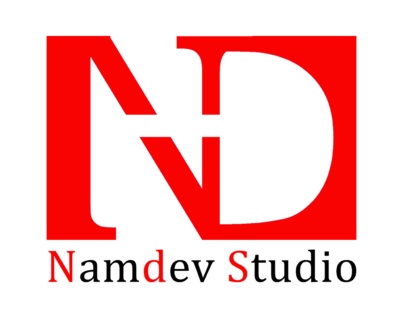 Photographer-In-Hisar